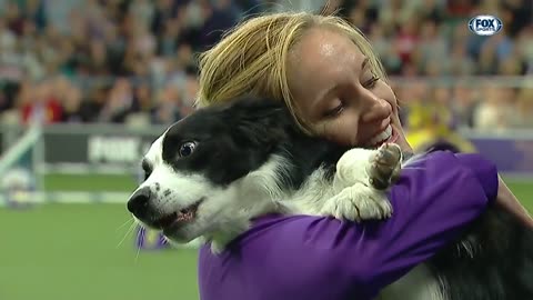 Dog wins Back to Back Title! at WKC masters agility 2019