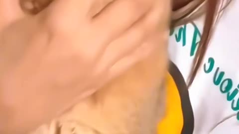 Cat trying to convince his owner after making a mess😆