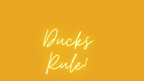Duck Number Song (Nene's Playhouse)