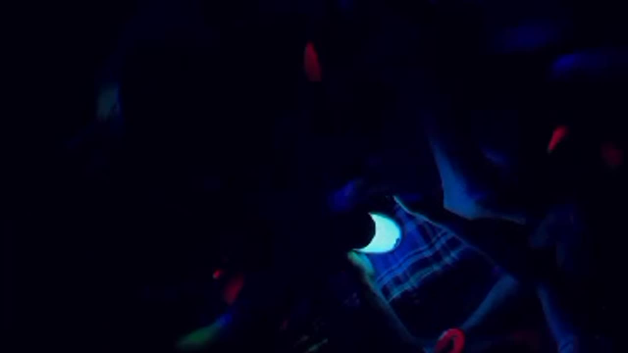 Local night party