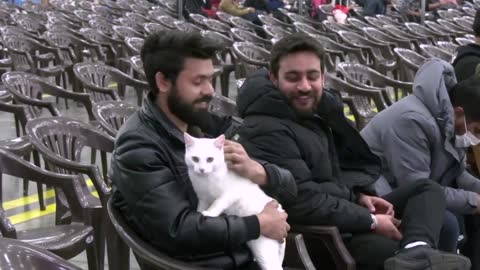 Indian students evacuated from Ukraine arrive home