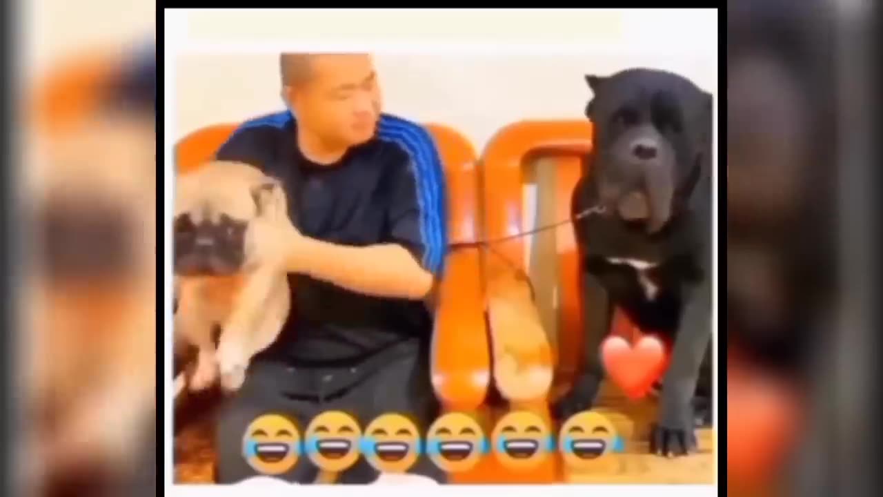 Funny Videos Compilation 🤣 Pranks - Amazing Stunts - By Happy Channel #1