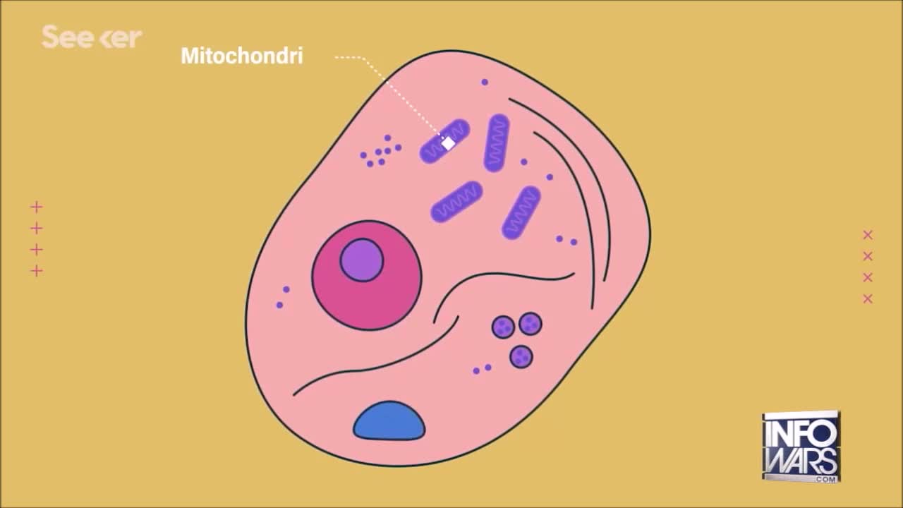 BREAKING : 5G & COVID EXPOSED In BOMBSHELL REPORT 2022