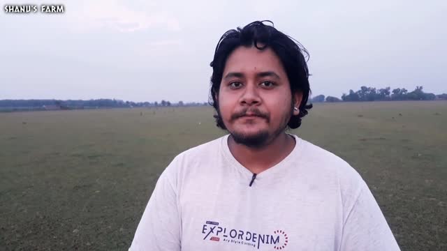 free! free Golden retriever puppy for free adoption free mai lejao bilkul free free dogs