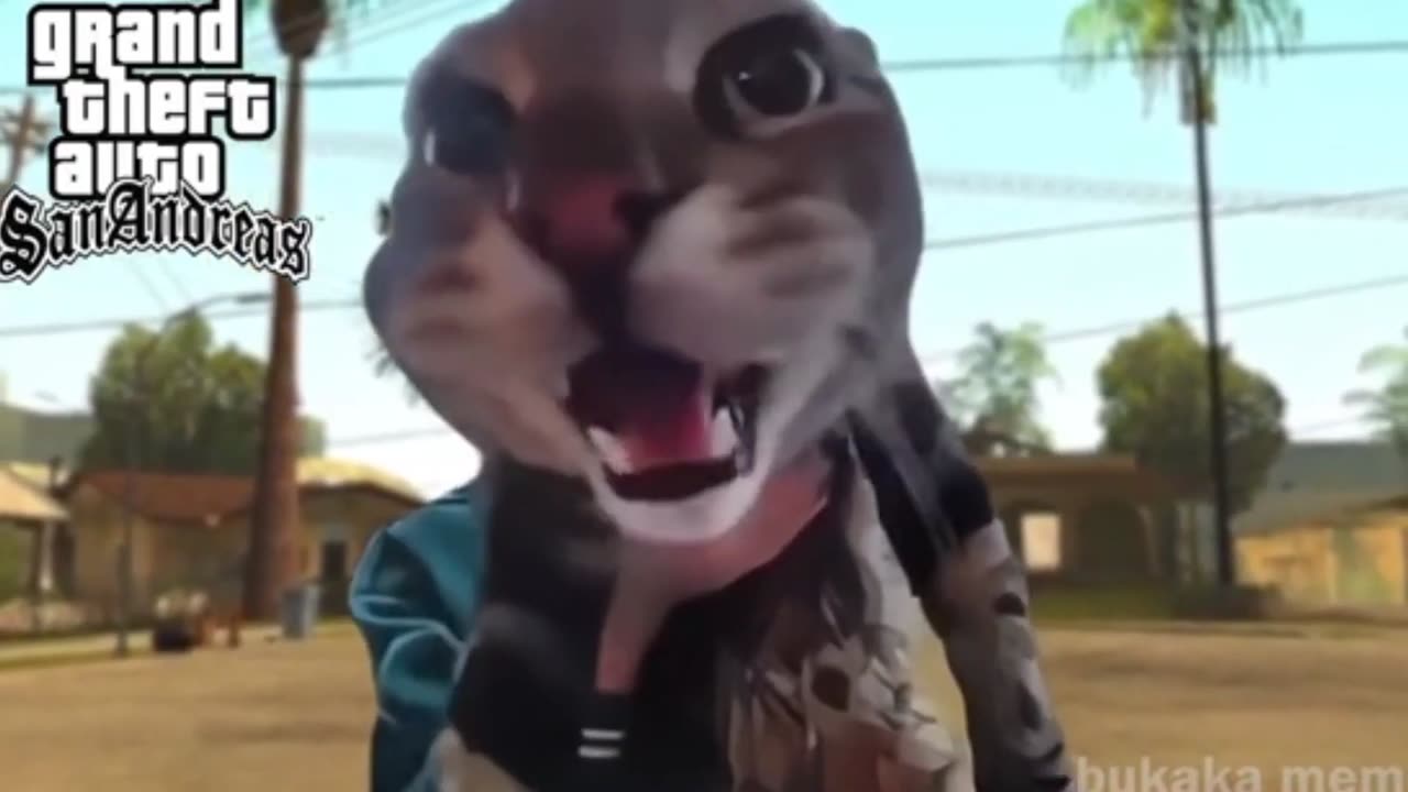 Cat Meow In Door camera Meme Vs GTA Sanandreas Version