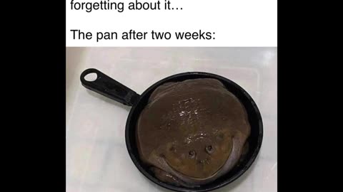 Random Memes 235