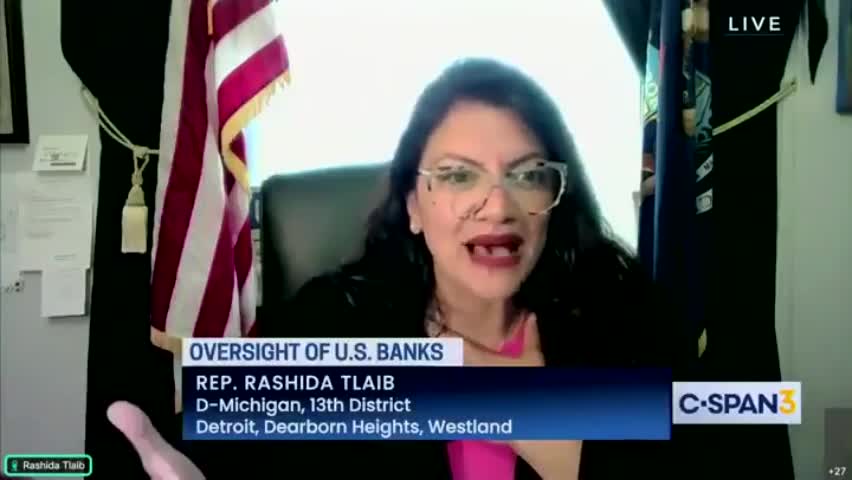 Climate Crazy Dem Rep Loses It When JP Morgan CEO Shuts Down Her Hoax With Just Twelve Words