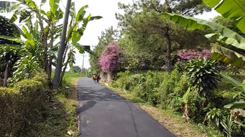 Road to camp ground