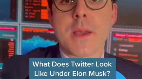 What Does Twitter Look Like Under Elon Musk?