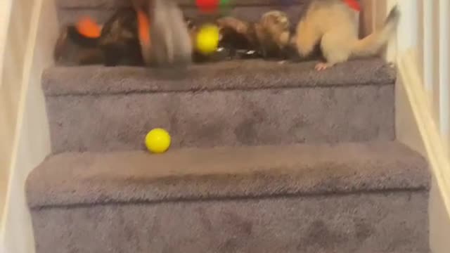 Comment anything lol