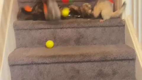 Comment anything lol