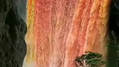 Amazing beauty