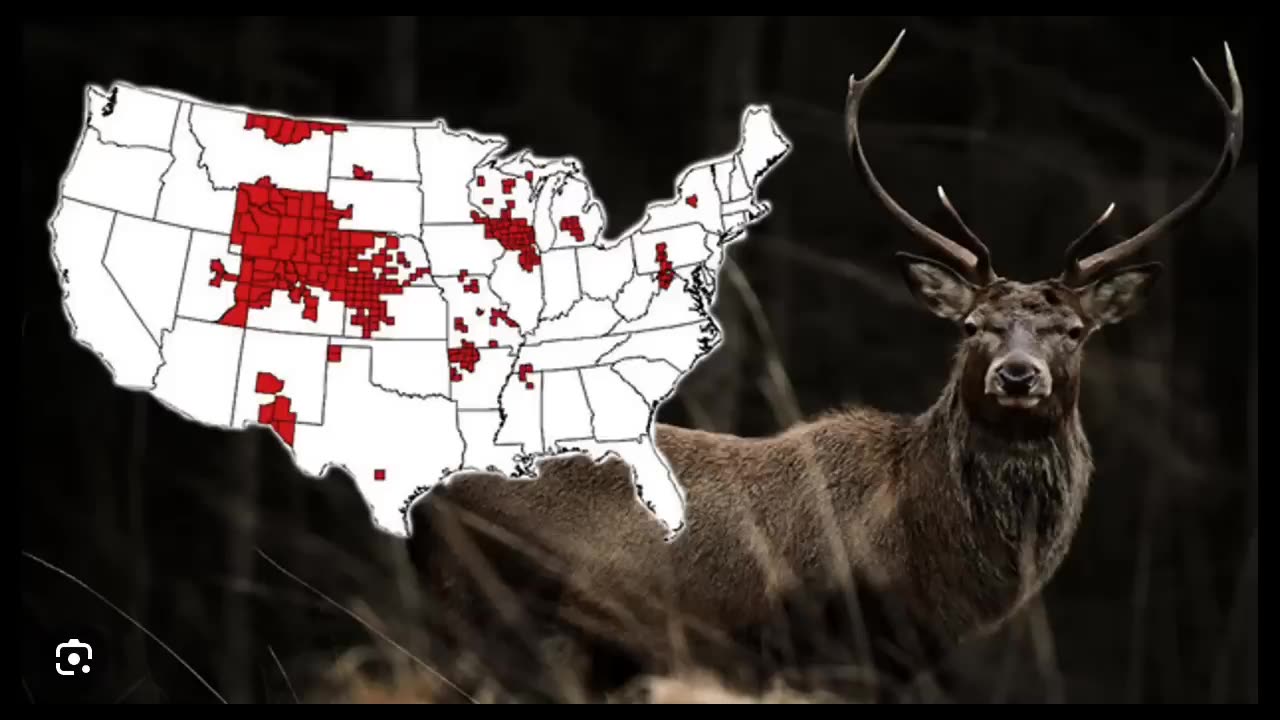 THE ZOMBIE DEER APOCALYPSE! WILDLIFE ARE UNDER ATTACK SO YOU CAN'T RELY ON HUNTI