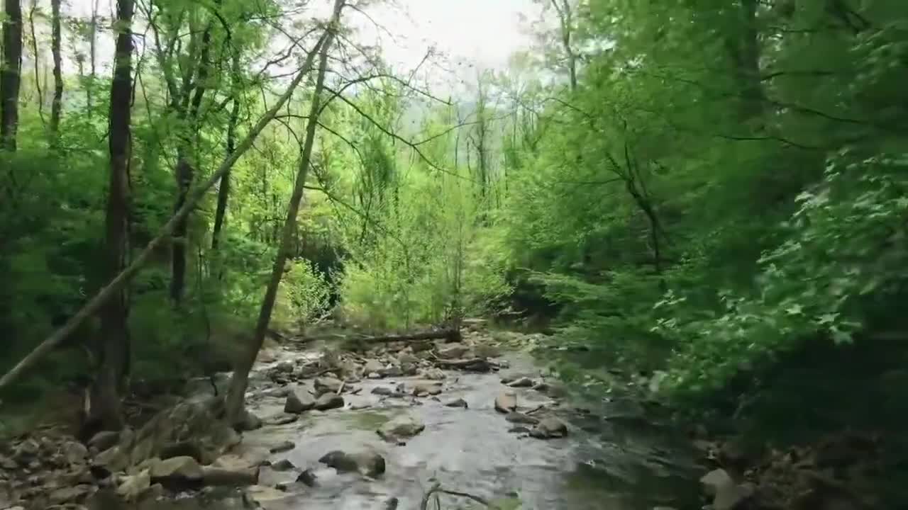 Beautiful Cinematic Drone Shot