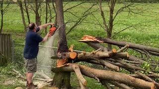 Tree Cutting Destroys Fence