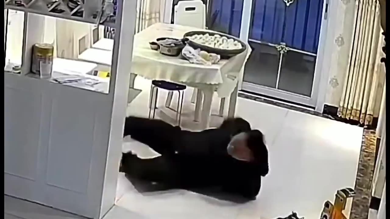 Daddy to the Rescue funny video