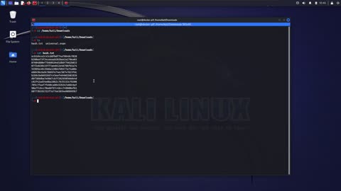 🤩 Let's Explore John The Ripper A Password Cracking Tool in Kali LInux 💃