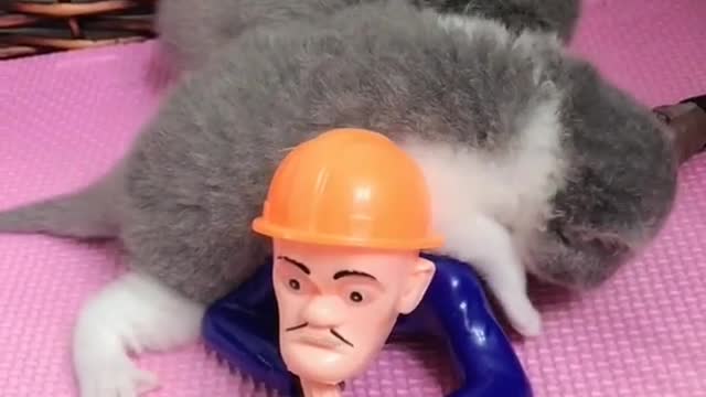 OMG So Cute Cats ♥ Best Funny Cat ❤️🐈Videos 2021 #shorts