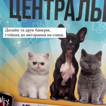 Замовлення банерів Тернопіль