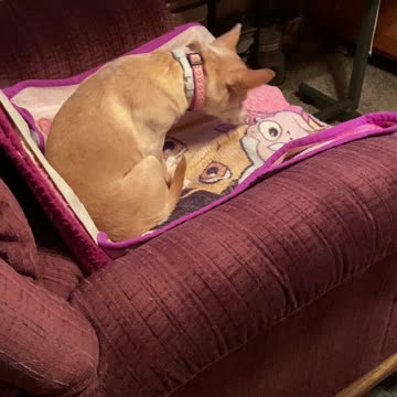 Holley and her ritual.