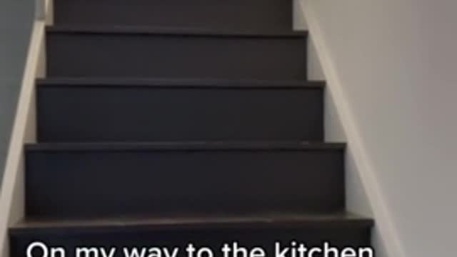 Food motivated pup humorously trots down the stairs