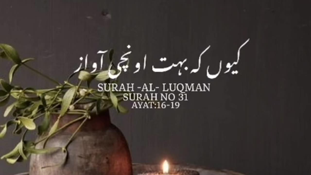 Qur'an Reciting