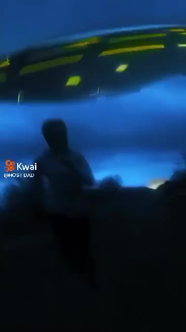 UFO CHASES YOUNG MAN RUNNING IN THE WOOD THE GUY LEAVES A MILLION