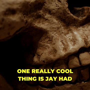 🦴 Exploring The Museum Of Osteology 🦴