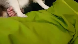 Mandy doesn't want to go to bed...