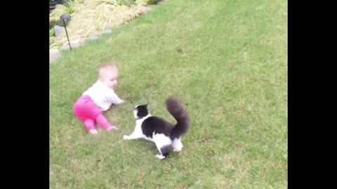 Funny Baby Clips 152