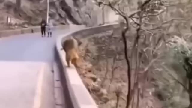 The behavior of netizens makes me laugh | The best collection of funny videos