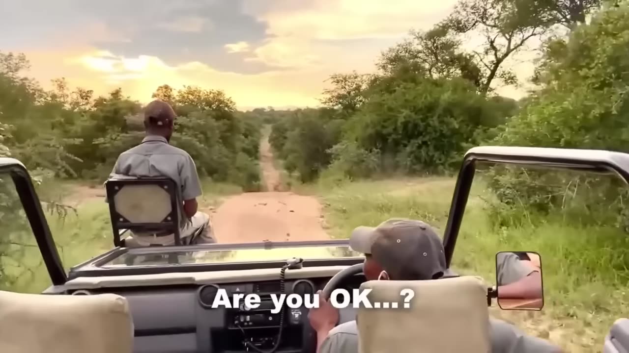 15 Scariest Animal Encounters Ever Filmed In Africa