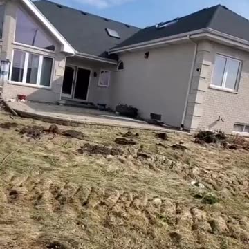 BlackRock and Vanguard are buying all the houses and leaving them empty