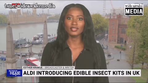 ALDI Introducing Edible Insect Kits In UK