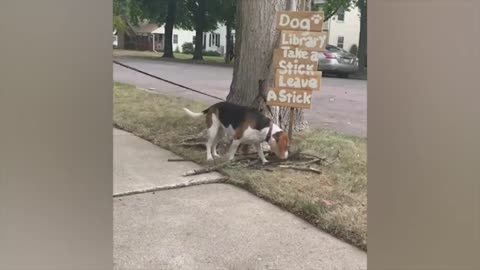 Funny animals 🤣🤣