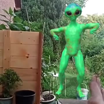 an alien in my garden