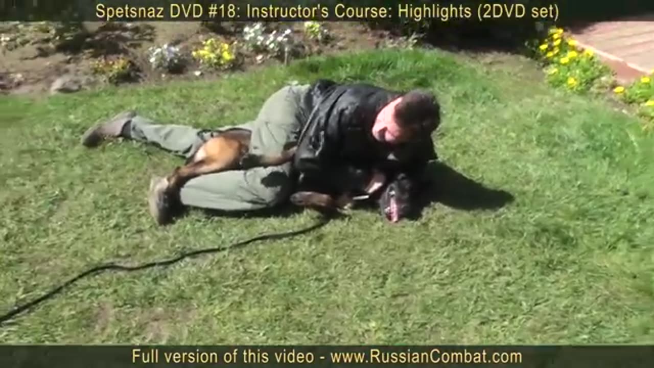 Self defense against dog attack