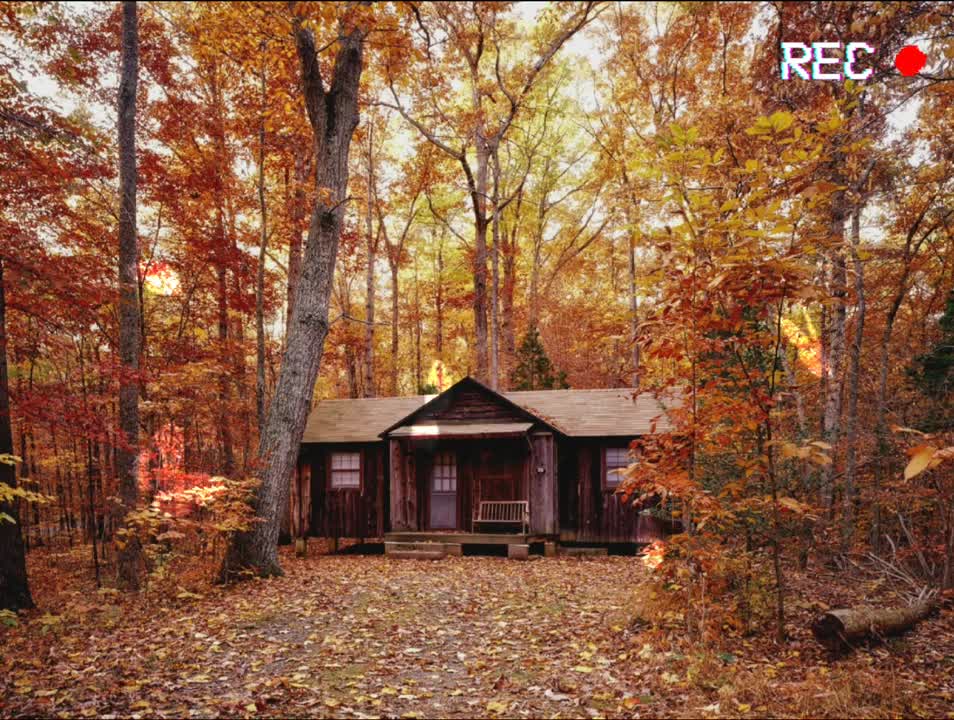 Relaxing Music | Sleeping, Meditation, Stress Relief | [883] ⭐️