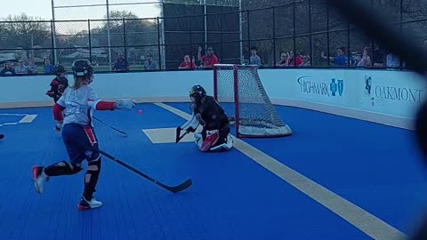 Deck Hockey save Raptors