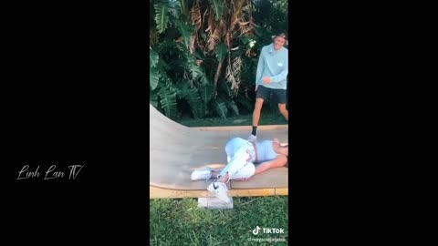 funniest animals videos