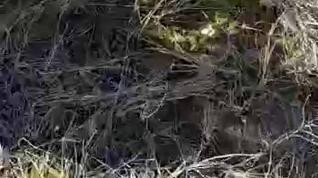 ️️️A shell hit a house on a farm in the Rostov region near the border with Ukraine