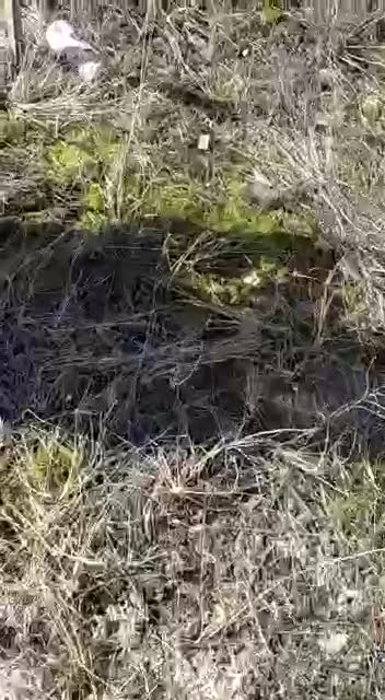 ️️️A shell hit a house on a farm in the Rostov region near the border with Ukraine