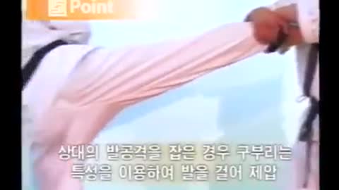 Jin Jung Kwan Hapkido