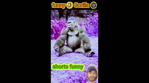 Funny viral video short