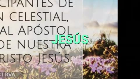 Jesús era Apóstol?