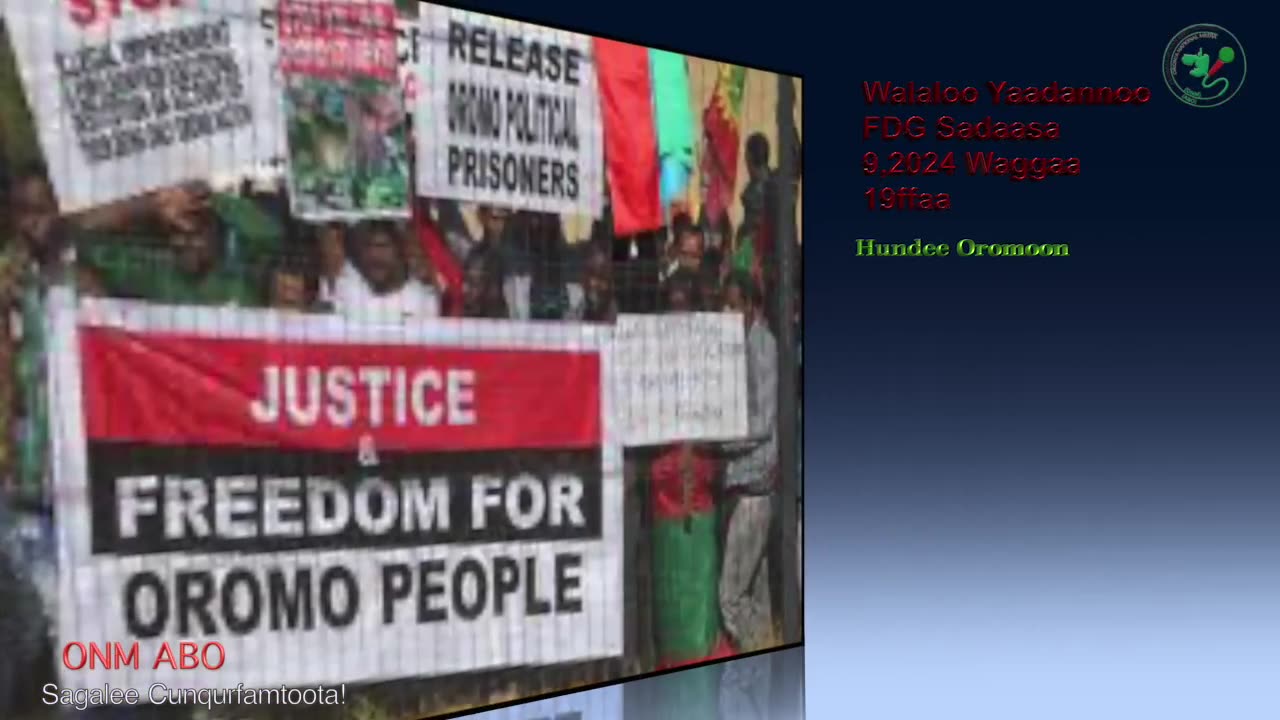 Walaloo ONM-ABO Sadaasa 9-2024 itti dhiyaadhaa!