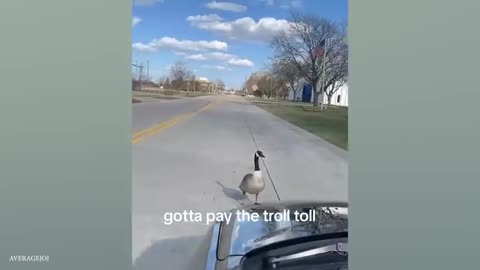 Try Not To Laugh