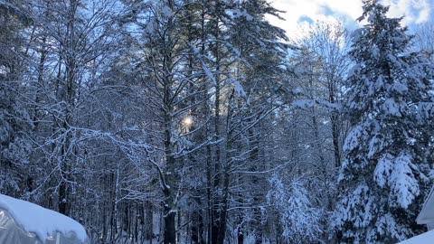 Winter Has Begun ❄️