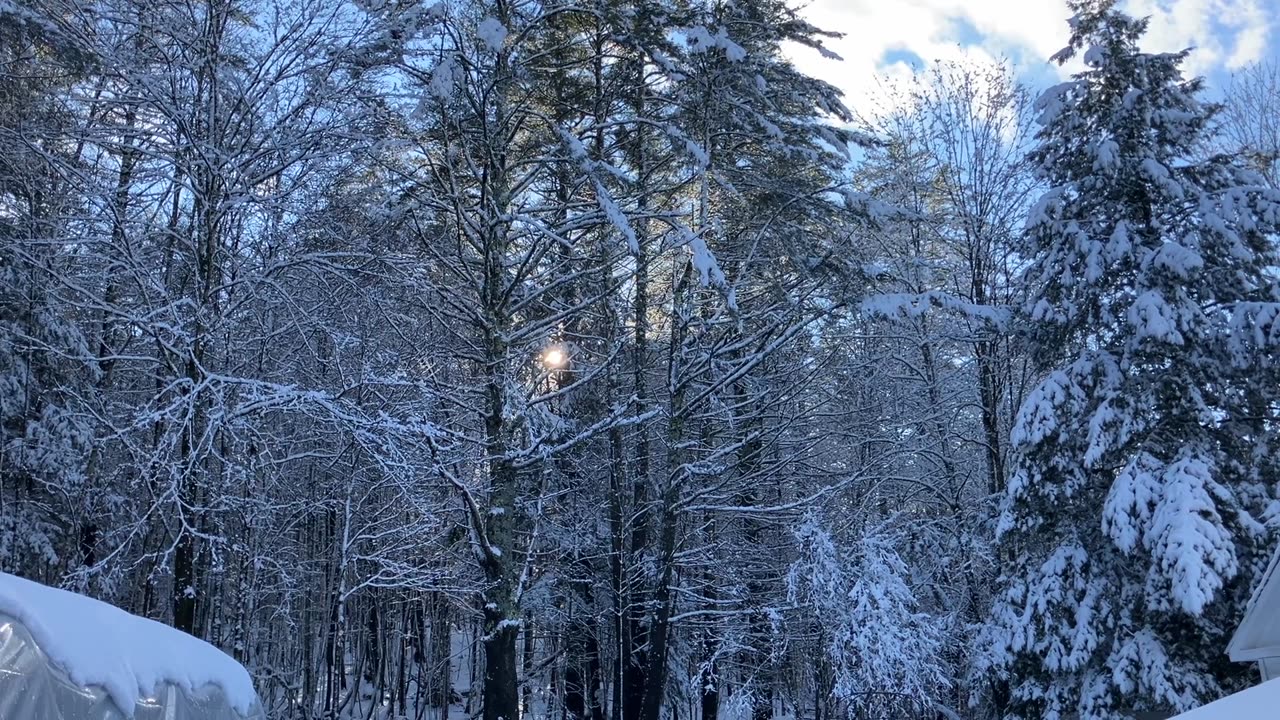 Winter Has Begun ❄️
