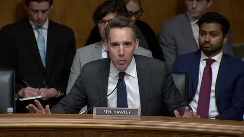 Hawley Exposes Airline Execs For Upcharging Flight Fees & Harassing Passengers!!!